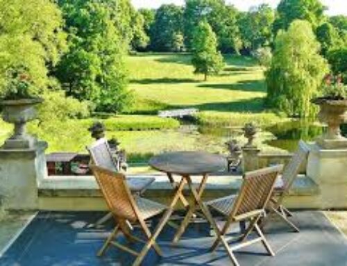 Easy Home and Garden Projects for Beginners on a Budget