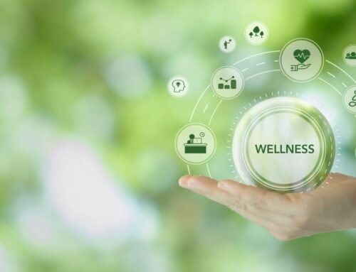 Holistic Health and Wellness Practices for Busy Professionals
