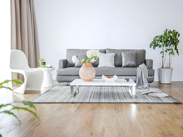 Free minimal living room with plants public domain CC0 photo.